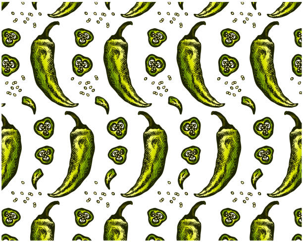씨앗과 녹색 뜨거운 칠리 고추의 스케치 그리기 패턴 - pepper bell pepper market spice stock illustrations