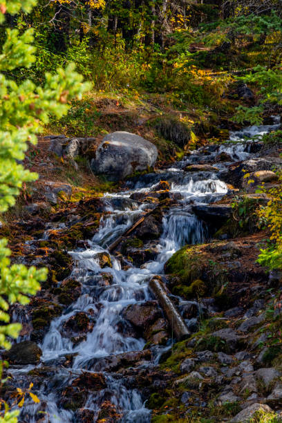 istock Fall colours at O'Shaunessy Falls. Bow Valley Wilderness Area, Alberta, Canada 1320508258