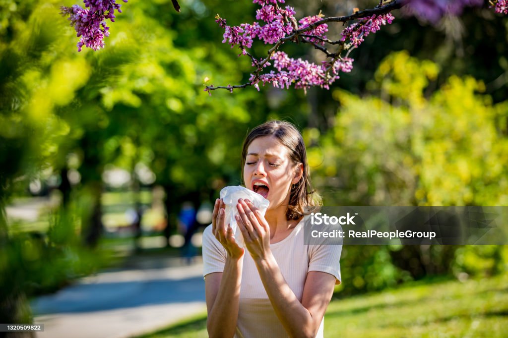 Young pretty woman blowing nose in front of blooming tree. Spring allergy concept Woman has sneezing. Young woman is having flu and she is sneezing. Sickness, seasonal virus problem concept. Woman being sick having flu sneezing. Allergy Stock Photo