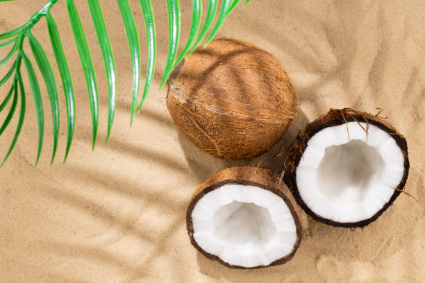 istock coconut on the sand. Tropical beach and coconuts, background with copy space. Travel and Beach Vacation 1320513236