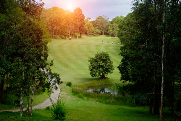 istock Golfers are playing golf in the evening golf course in thailand 1320513354