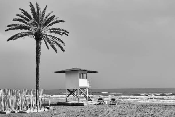 istock Beach with palm and lifeguard tower by the sea 1320516540