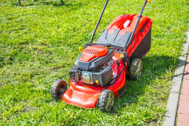 istock Lawn mower after working on the grass. 1320516755