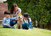 アジアの母親と2人の子供たちが公共公園で柴犬と一緒に座って遊んでいます。幸せな家族とペット