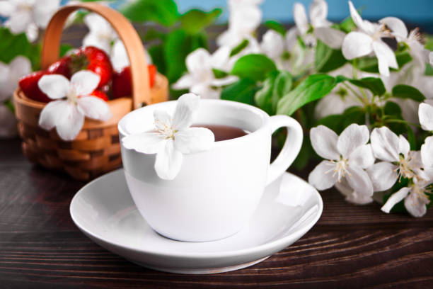 Cup of tea with white apple blossoms. Spring concept