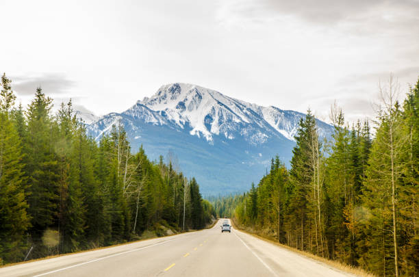 Road in Kootenay Park with Rocky mountains during day of springtime