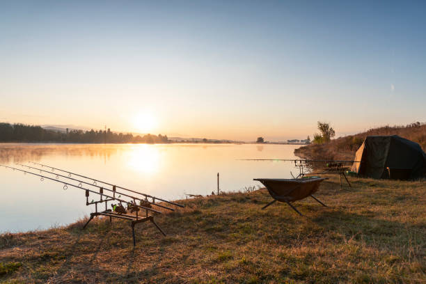 istock Carp fishing rods at sunrise. 1320519346