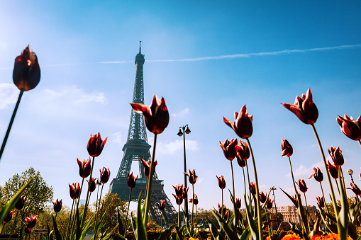view of the Eiffel tower in Paris, France, with a blue sky