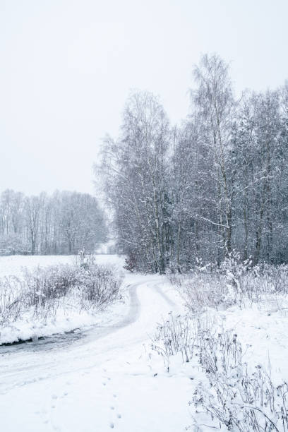 istock Cold and snowy winter in countryside 1320521569