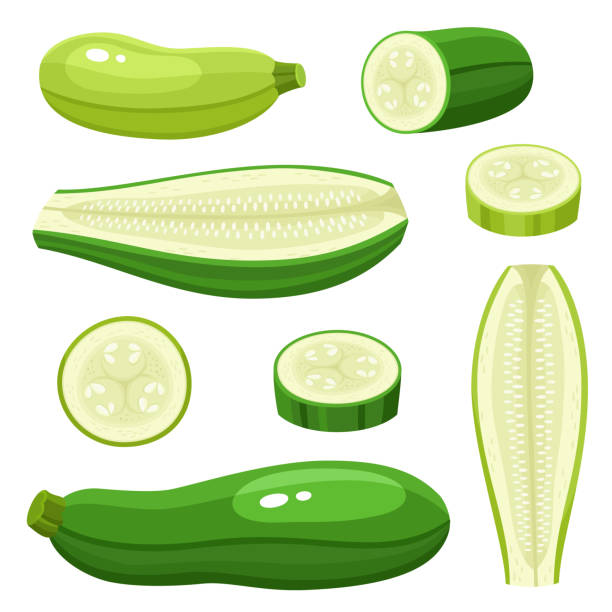 ilustraciones, imágenes clip art, dibujos animados e iconos de stock de brillante colección vectorial de coloridos calabacín diferentes aislados en blanco - zucchini