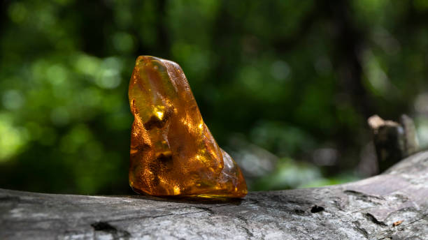 istock Sparkling transparent orange Baltic stone on a trunk in the forest. 1320533204