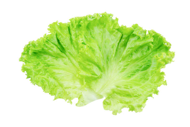 istock Lettuce. Salad leaf isolated on white background with clipping path 1320533354