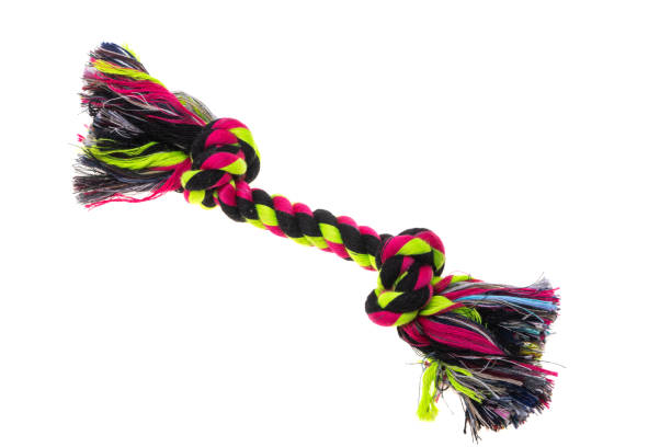 istock toys for dogs isolated 1320533498
