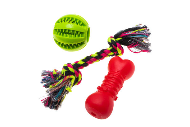 istock toys for dogs isolated 1320533504