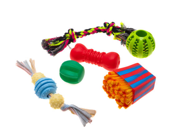 istock toys for dogs isolated 1320533526