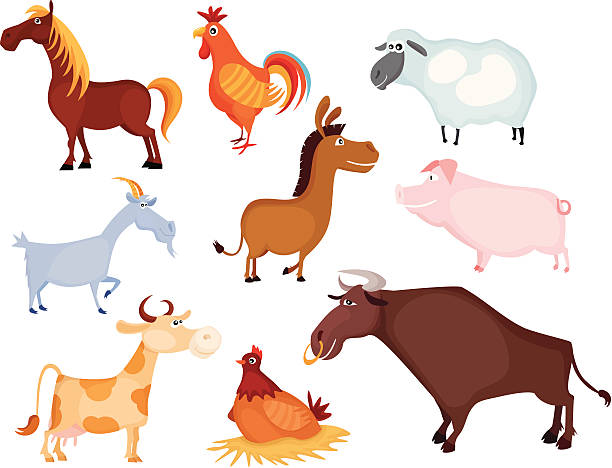 farm animal set vector art illustration