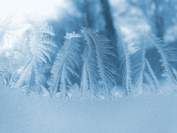 istock frosty patterns on the window glass closeup. natural textures and backgrounds. ice patterns on frozen 1320538797