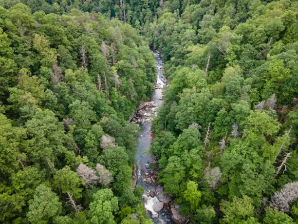 Photo of Drone View of River Gorge in Blue Ridge Mountains of North Carolina