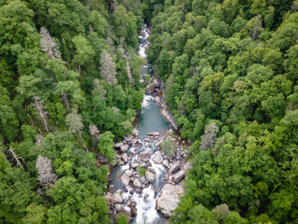 Drone View of River Gorge in Blue Ridge Mountains of North Carolina Aerial view of river gorge in the Appalachian Mountains of North Carolina in the summer. national forest stock pictures, royalty-free photos & images