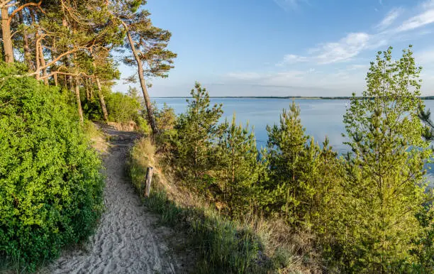 Usedom: Hiking trail on the steep coast of the Gnitz peninsula with a view of the aft water of the Peenestrom.