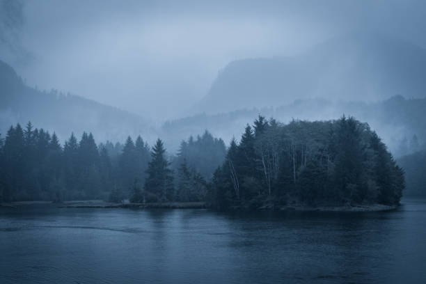 Fog and rain in the inlet in Port Renfrew, BC.