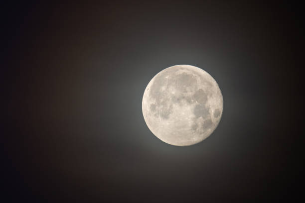istock Super flower blood moon May 26, 2021 1320541124