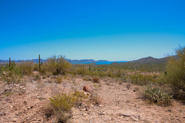 istock Open desert near Lake Pleasant, Arizona 1320541964