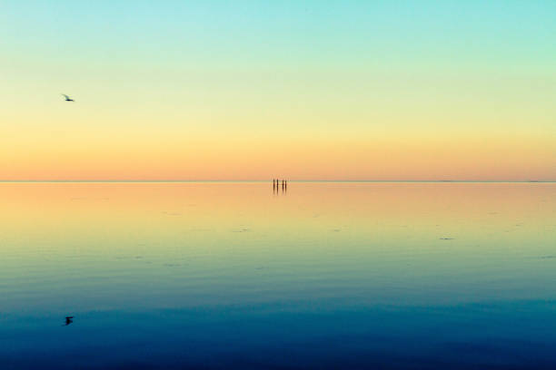 istock Sunset Reflection On Pamlico Sound With Flying Bird And Abandoned Structure 1320544914