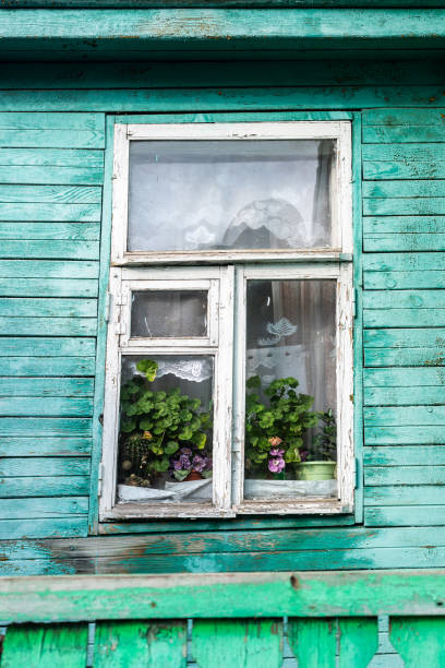 istock Window with geranium and cactus on green country house wall 1320545630