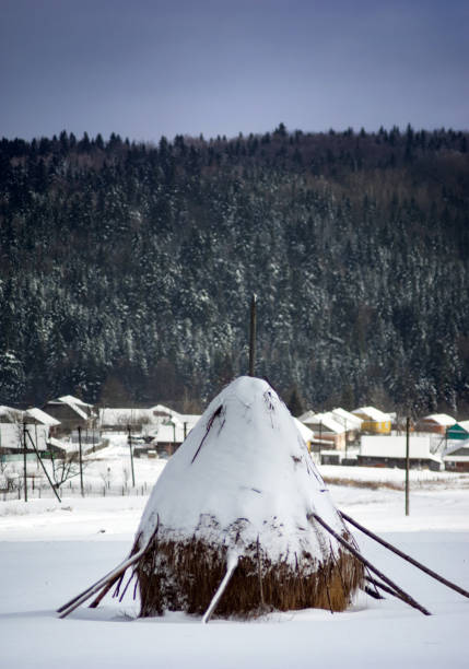 botte de foin sous la neige dans les montagnes - group21 photos et images de collection
