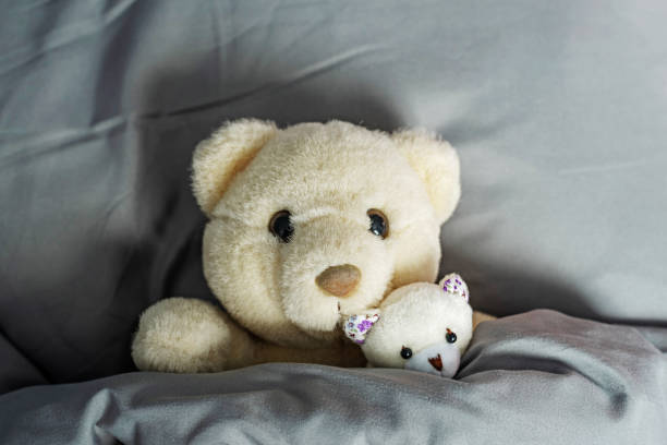 Funny fluffy teddy bears mother and cub lie on soft pillow under warm duvet in bed with stylish grey linen close upper view