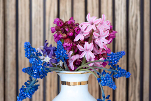 穏やかなムスカリとヒヤシンス花瓶の最初の春の花 - campanula small flower bouquet ストックフォトと画像