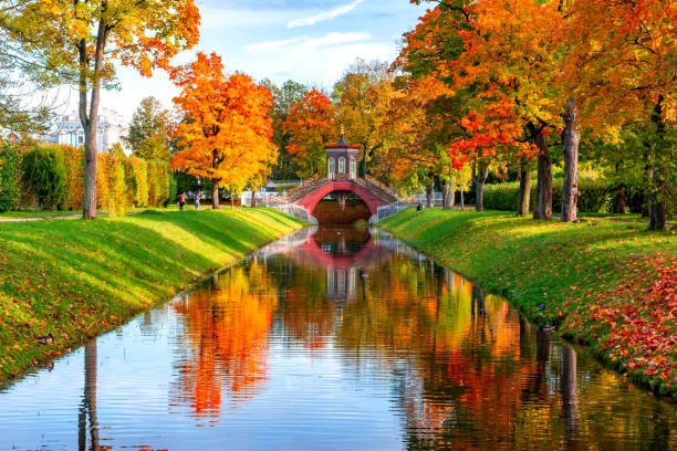 Cross bridge in autumn in Alexander park, Tsarskoe Selo (Pushkin), Saint Petersburg, Russia Cross bridge in golden autumnl in Alexander park, Tsarskoe Selo (Pushkin), Saint Petersburg, Russia pushkin st petersburg stock pictures, royalty-free photos & images