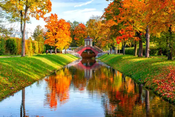 Cross bridge in golden autumnl in Alexander park, Tsarskoe Selo (Pushkin), Saint Petersburg, Russia