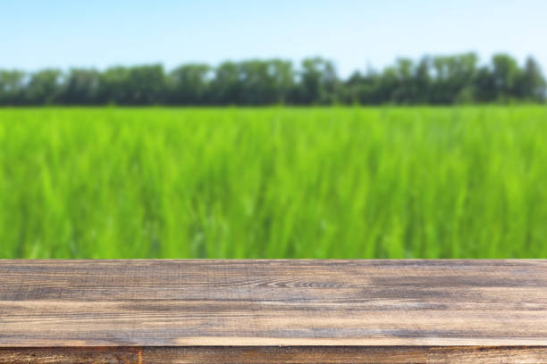 istock wood table top on blurred field background with grass 1320550821