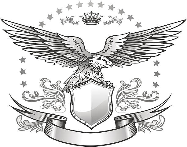 Spread winged eagle insignia hi-res PSD with transparency and layers included aquila heliaca stock illustrations