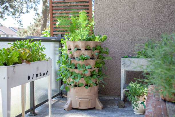 A vertical tower garden with an integrated vermicomposter A tall vertical garden sits on an apartment balcony (patio) with fresh salad greens, herbs and vegetables. Ideal small space and urban gardening solution vertical garden balcony stock pictures, royalty-free photos & images