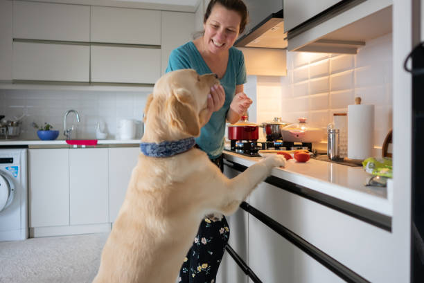 istock Cooking with the Dog 1320561529