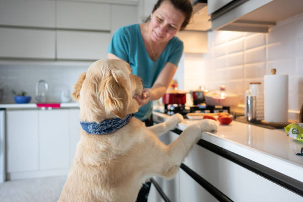 istock Cooking with the Dog 1320561543