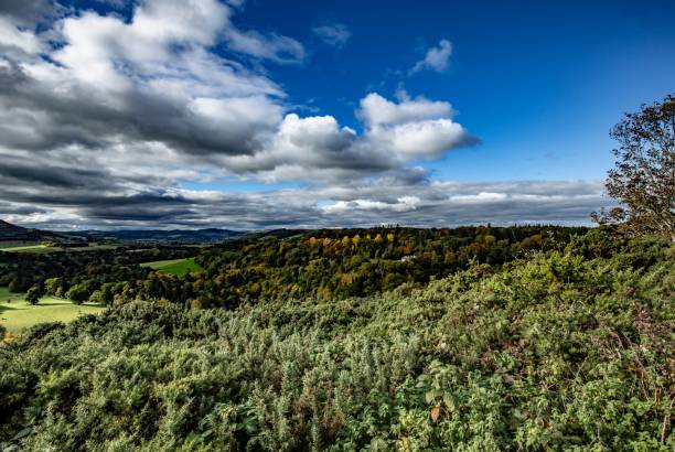 istock Autumn Valley In The Scottish Borders. 1320564188