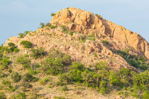 istock Rocky hill in the Texas hill country. 1320565340