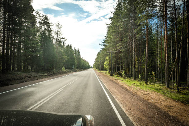 istock The road among the Karelian taiga 1320566032