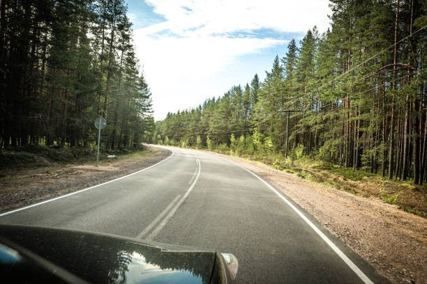 istock The road among the Karelian taiga 1320566234