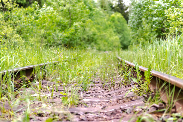 istock Railway tracks overgrown with grass 1320572710