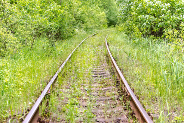 istock Railway tracks overgrown with grass 1320572712