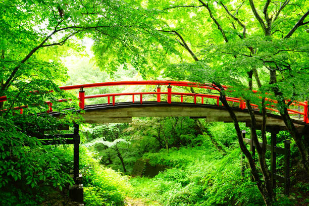 kajika bridge, ikaho onsen, shibukawa city, gunma pref., japon - japanese maple leaf water japan photos et images de collection