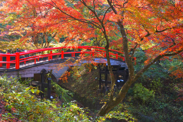 ponte kajika, ikaho onsen, shibukawa city, gunma pref., giappone - gunma foto e immagini stock