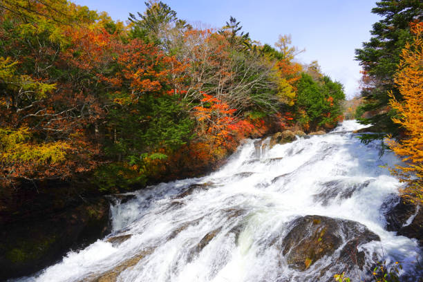 ryuzu falls nella stagione autunnale, nikko city, tochigi pref., giappone - water beauty in nature waterfall nikko foto e immagini stock