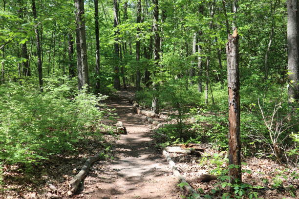 istock A Footpath From Lake Waterford Park (Maryland) 1320585074