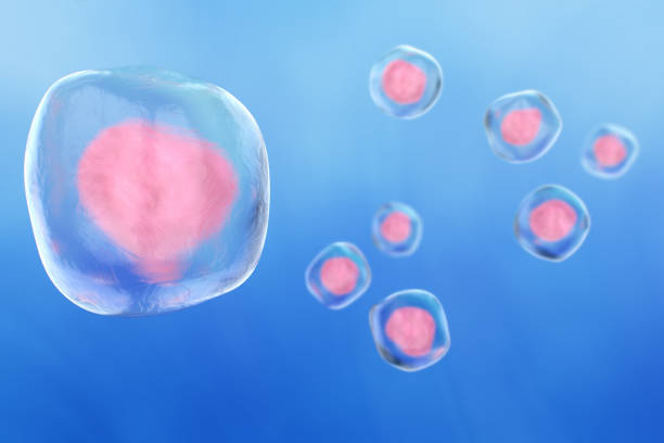 istock Human Cells on a Colorful Background 1320589278